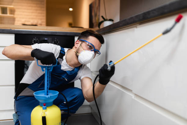 Best Mosquito Control Services  in Castlewood, VA
