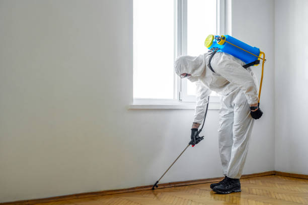 Best Best Pest Control Companies  in Castlewood, VA